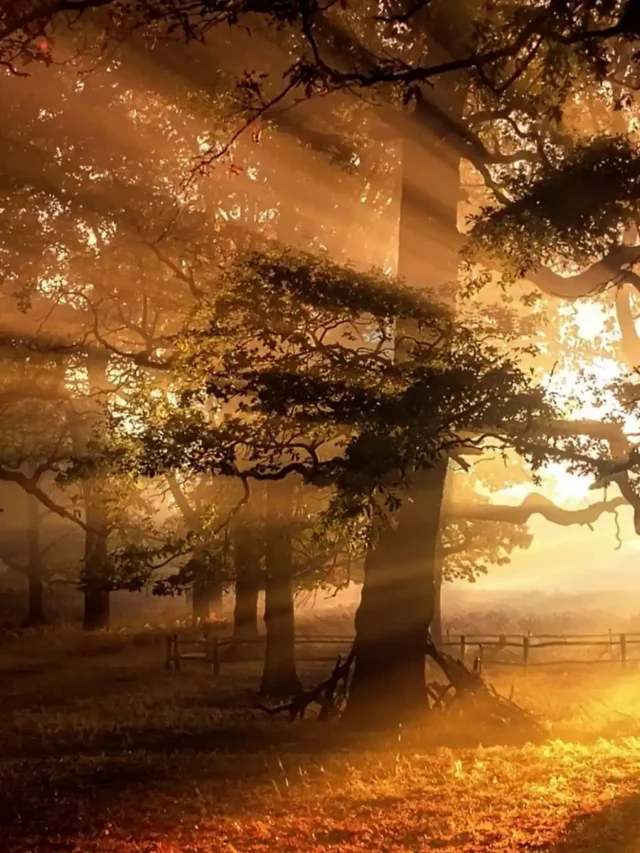 Taylor Swift’s Ties to Blake Lively